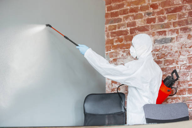 Best Emergency Mold Remediation  in Canyon, TX