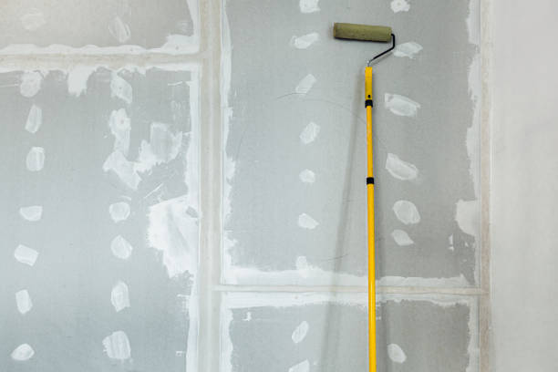 Best Air Quality Testing for Mold Spores  in Canyon, TX