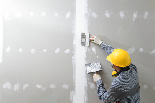 Best Airborne Mold Testing  in Canyon, TX