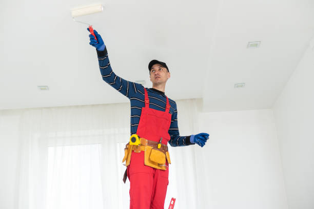 Best Crawl Space Mold Remediation  in Canyon, TX