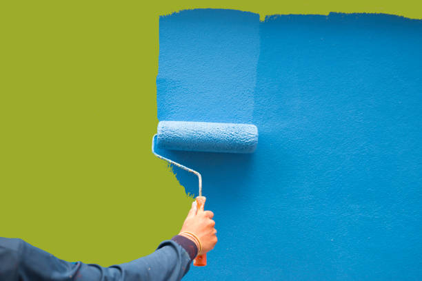 Best Black Mold Removal  in Canyon, TX