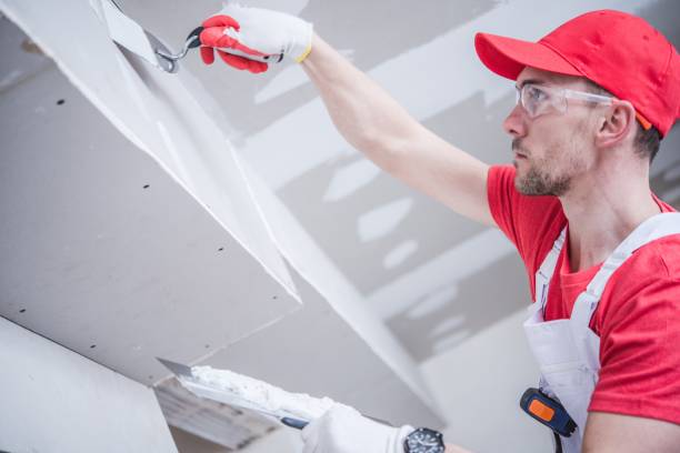 Environmental Consulting for Mold Prevention in Canyon, TX